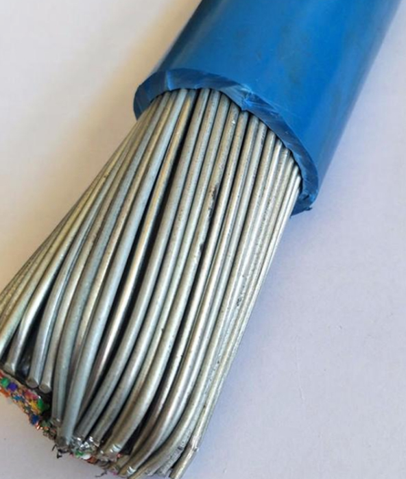 本安電纜DJYJPY32-ia-5*2*1.0